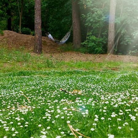 Forrest Style Pokoje Goscinne Warszawa Exteriör bild