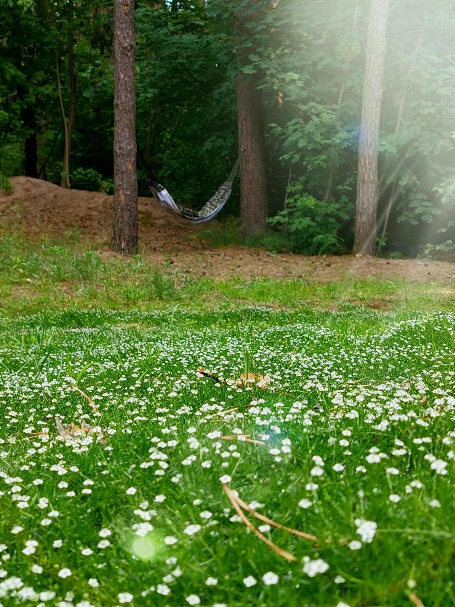 Forrest Style Pokoje Goscinne Warszawa Exteriör bild